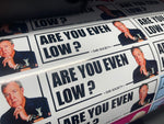 Are You Even Low Slap Sticker